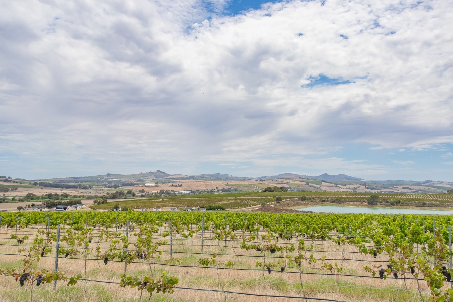 6 Bedroom Property for Sale in Lyndoch Western Cape